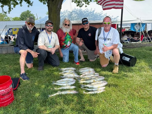 Bass And Walleye Jigging Trip