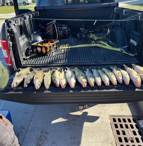 Bass And Walleye Trolling Trip