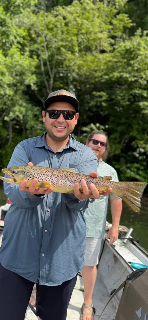  Trout Fishing Trip On White River