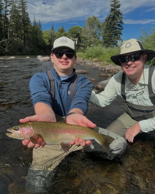 Fly Fishing Trip (Walk & Wade)