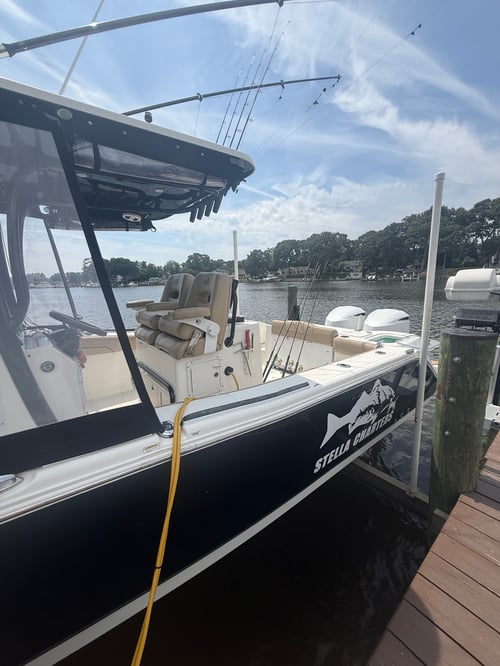 Chesapeake Catfish/Perch Trips