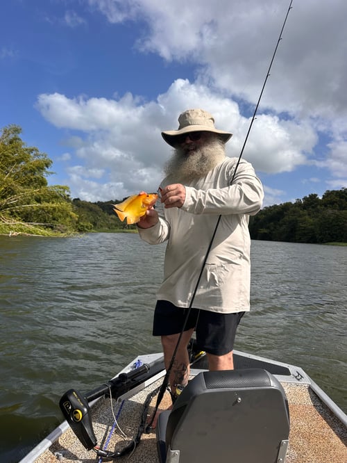 Cúrate Peacock Bass