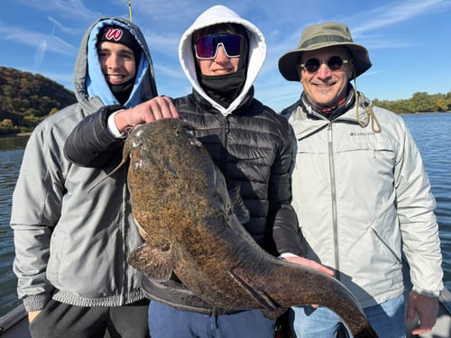 Flathead Catfish Fishing Trip