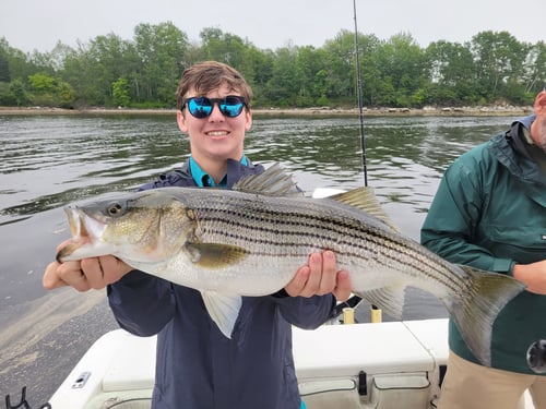 Penobscot Bay Family Fishing