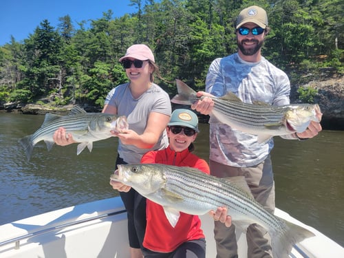Kennebec River Striper Charter