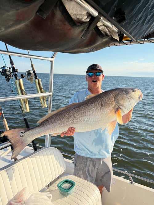4 To 6 Hour Nearshore Fishing Trip