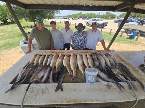 Calaveras Reds And Cats Combo
