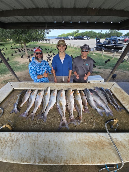 Calaveras Reds And Cats Combo