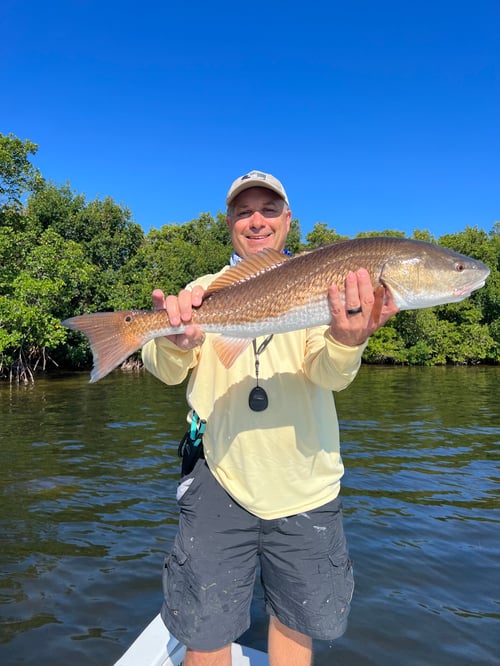 Snook And Trout And Redfish Oh My!