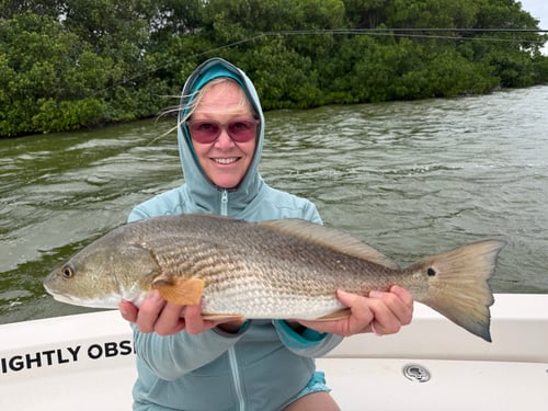  Inshore Trips - Catch & Release
