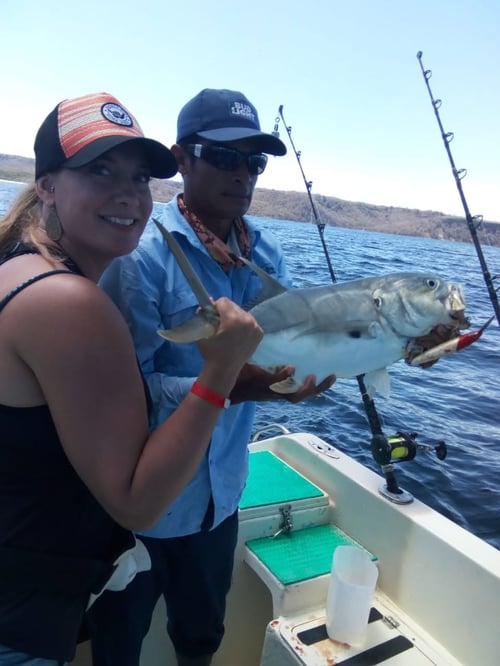 Half Day Inshore Fishing