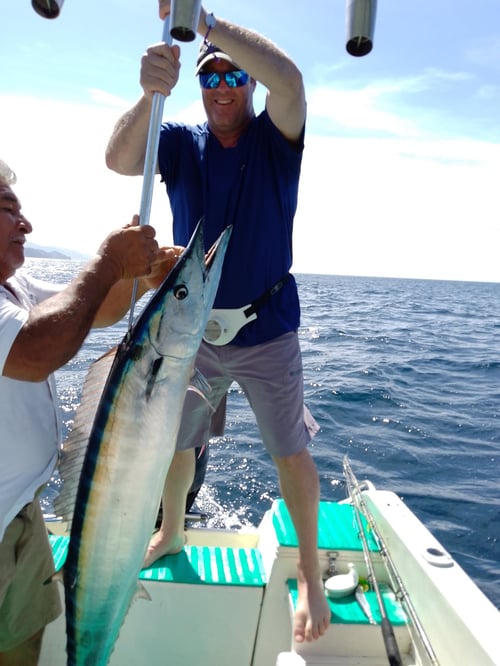 Full Day Inshore & Offshore Fishing