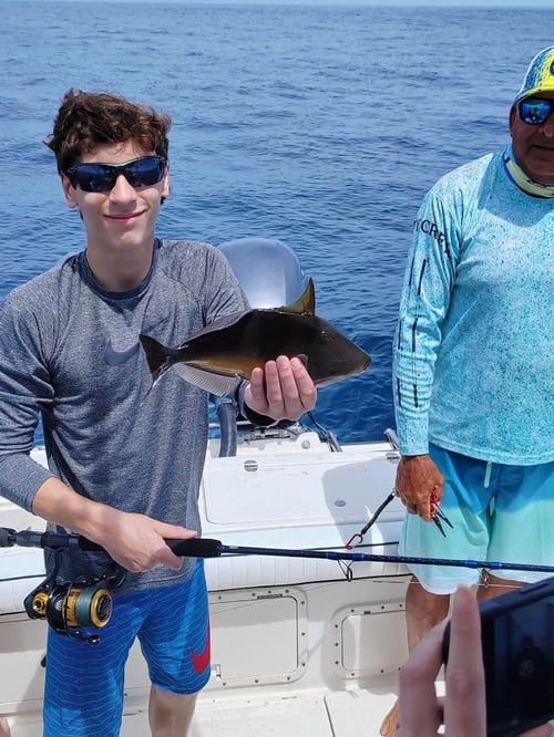 4-8 Hour Offshore Fishing Trip