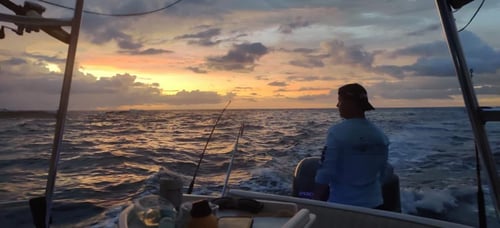 4-8 Hour Offshore Fishing Trip