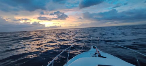 4-8 Hour Offshore Fishing Trip