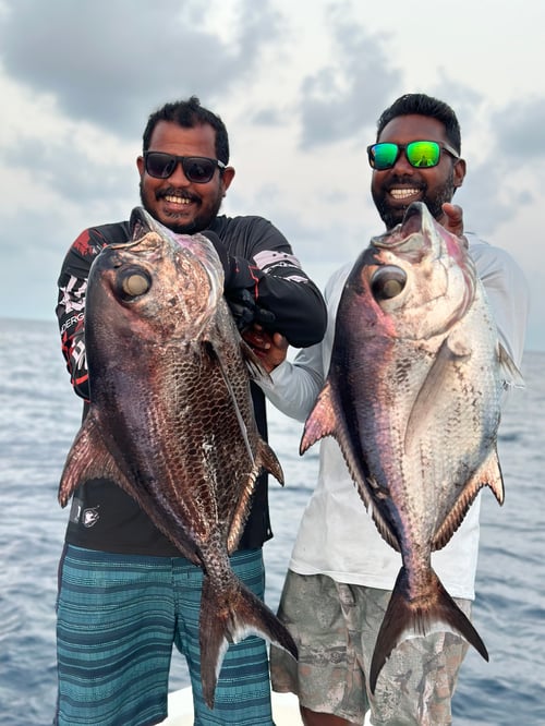 Maldives Sports Fishing