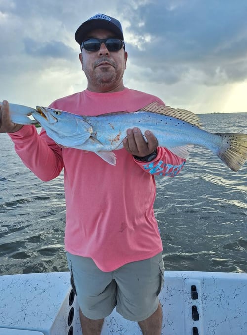 Artificial Fishing Trip