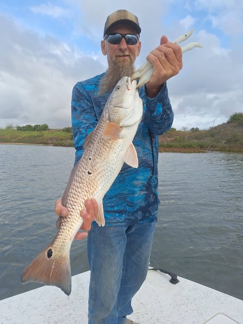 Artificial Fishing Trip