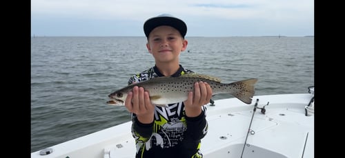 6hr Bay Fishing Trip