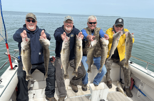 Walleye & Yellow Perch FIshing