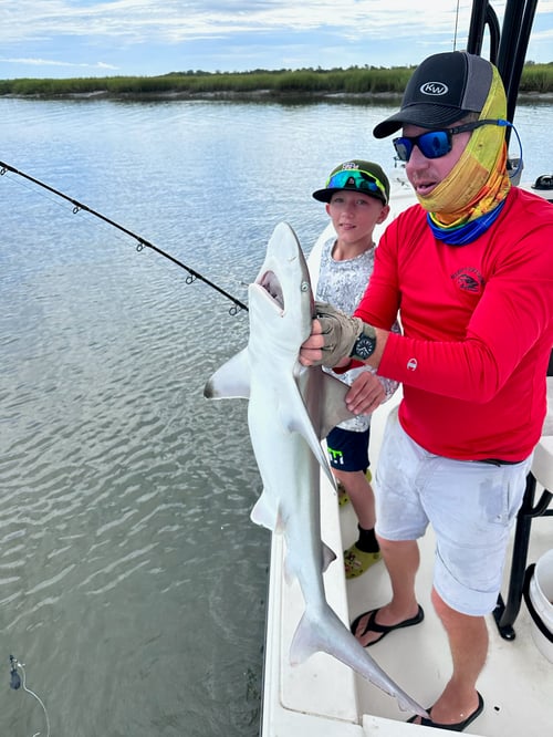 2hr Shark Trip