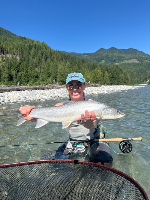 Upper Pitt River Adventures 