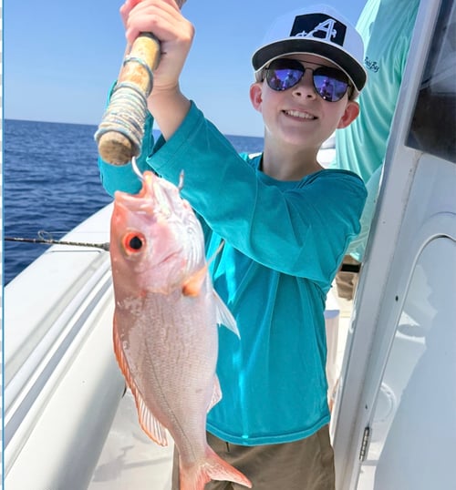 6 Hour Mahi Experience 