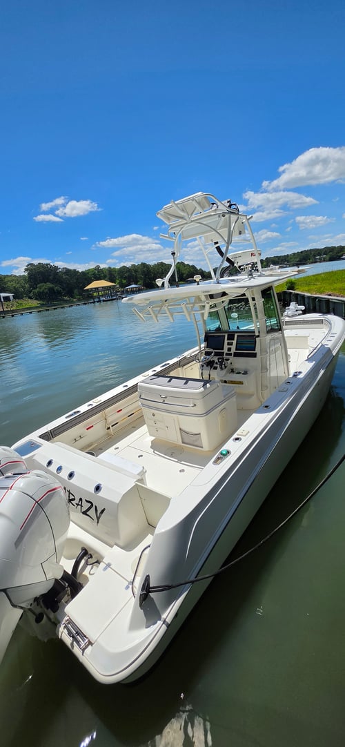 Cobia Sight Fishing 