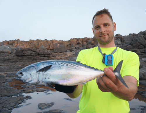 Rock Fishing Live & Dead Baits