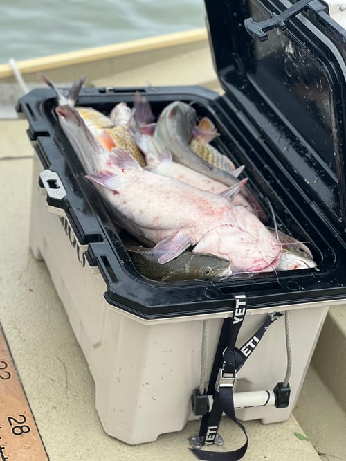 Port O'Connor "Texas Triple"
