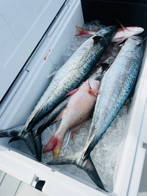 Offshore Trip Deep Sea