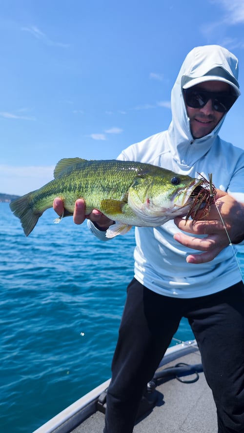 Bass Fishing Italy Bracciano Lake