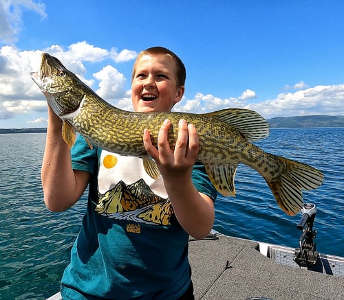 Pike Fishing Italy Bracciano Lake