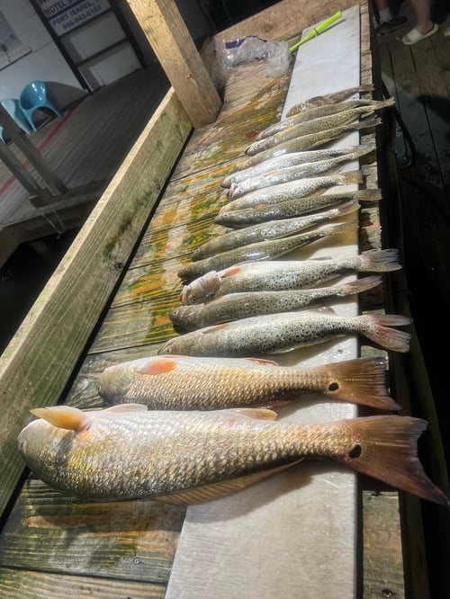 South Padre Island Night Fishing 