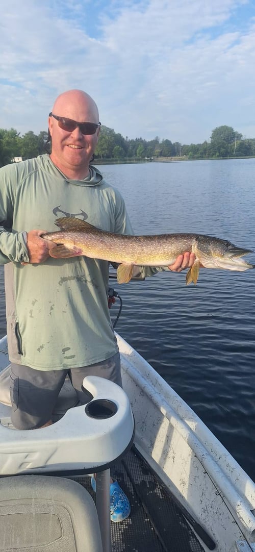 4 Hour Trip - PIKE Fishing