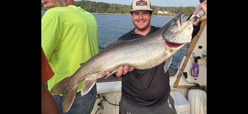 Lake Champlain Salmon & Trout