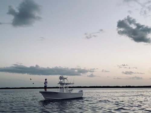 Inshore Fishing Trip