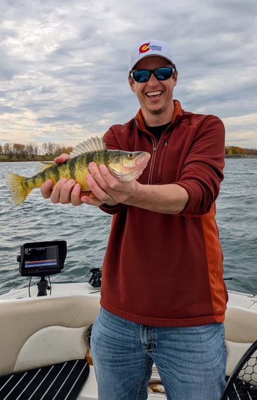 Spring Or Fall Perch