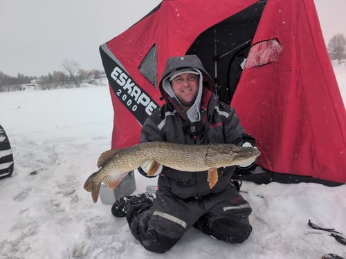 Full Day Northern Pike Ice Fishing