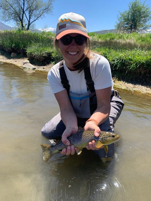 Guided Fly Fishing – Walk & Wade