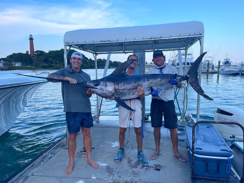 Daytime Swordfish Trip