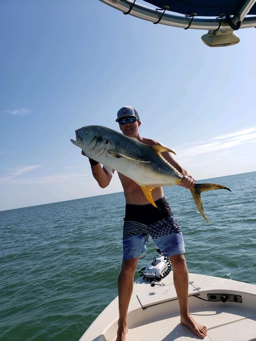 Tarpon Session