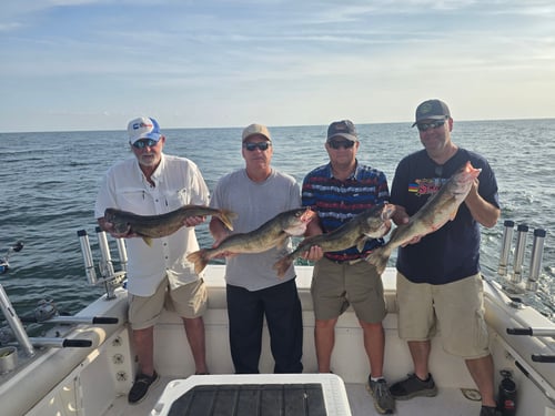 Perch And Walleye Fishing Trip