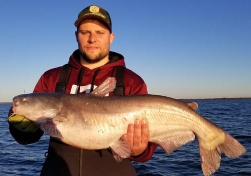 Bardwell Lake Catfish Trip