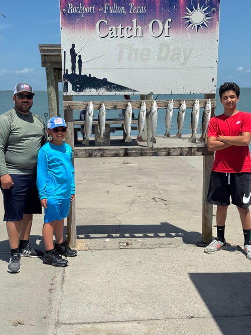 Inshore Guided Trip