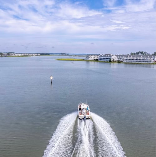 Back Bay Boat Charter