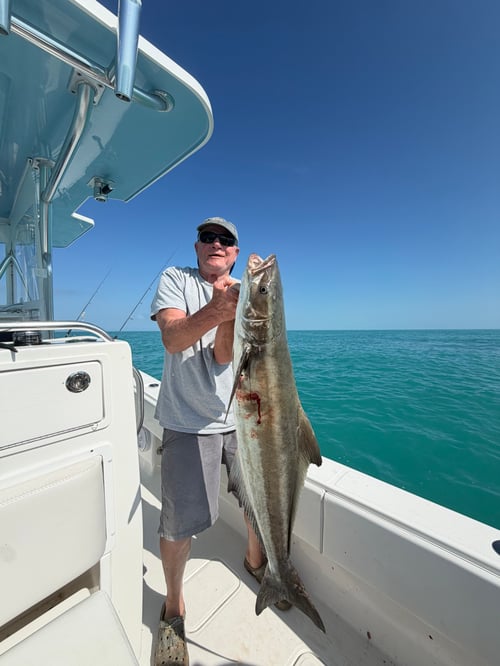 Full Day Fishing Charter