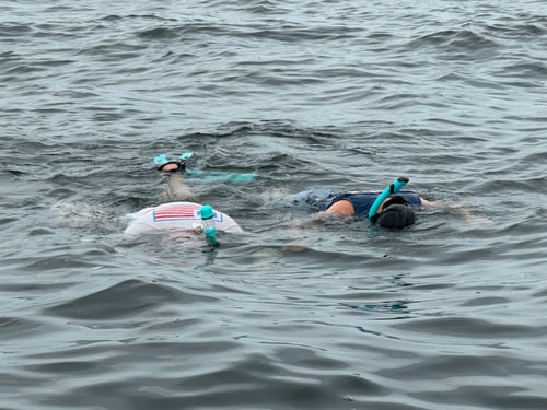 Epic Scalloping Adventures