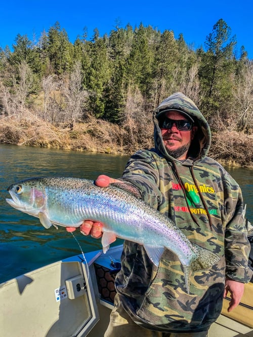 Steelhead Day
