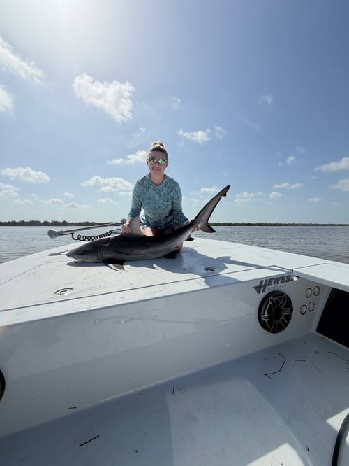 Shark Fishing 